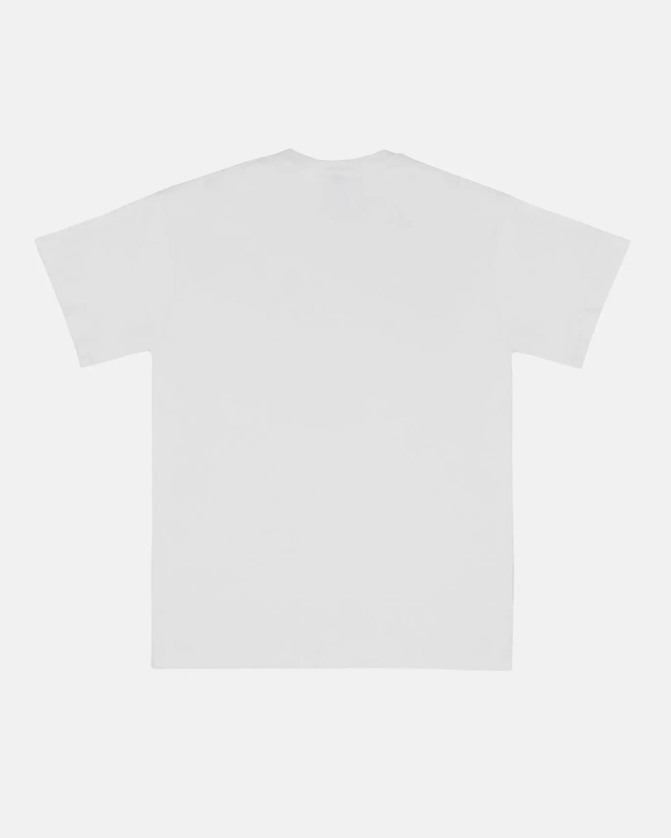 DISTRIBUTEUR DE PULPES – T-shirt coupe droite